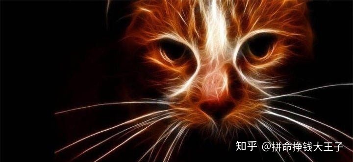 有哪些奇怪又有趣的小众网站推荐?