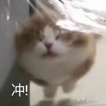 哪些网站让你感觉发现了新大陆?