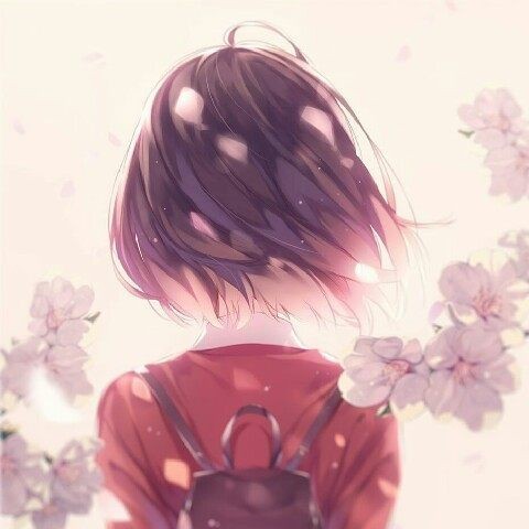 iSakuraNyan