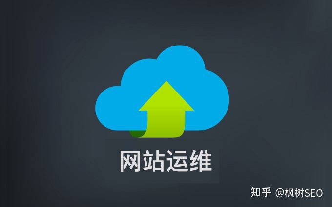 你都见过什么奇奇怪怪的网站?