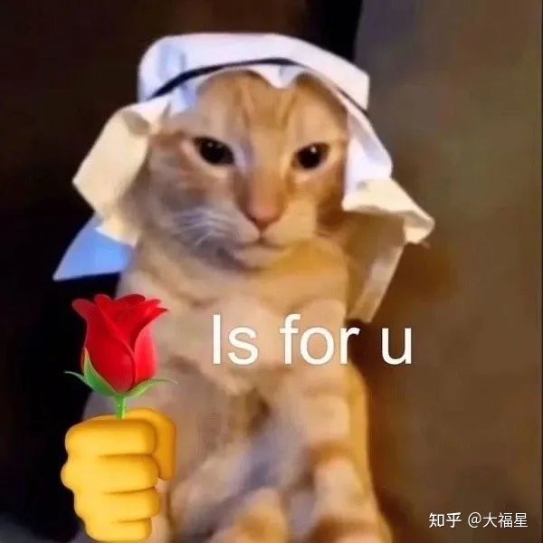有哪些奇怪又有趣的小众网站推荐?