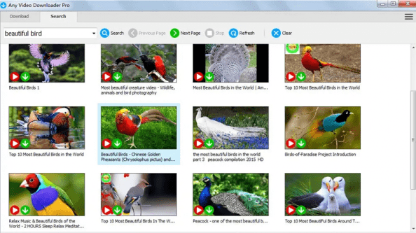 Any Video Downloader Pro（视频下载工具）v9.1.9 便携版