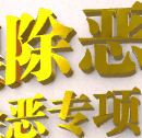 扫黑除恶专项斗争网上展览馆